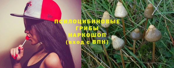 первитин Белоозёрский